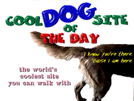 Cool site of the day 11/2/99